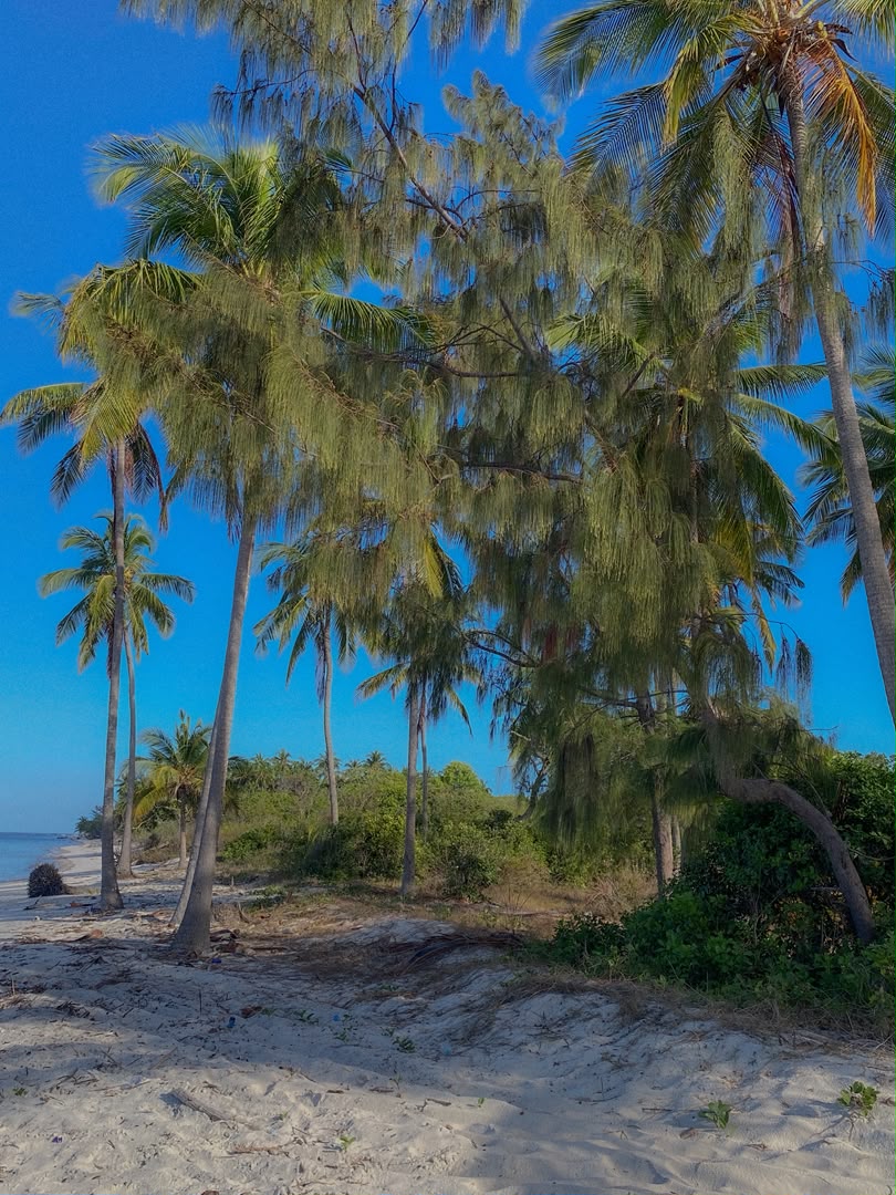 Mafia Island