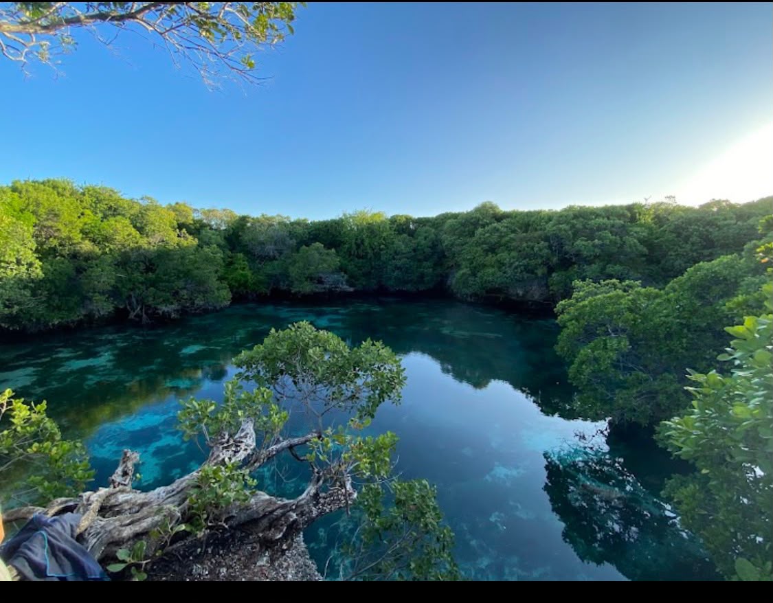 Mangrove lagoon on Chole Island